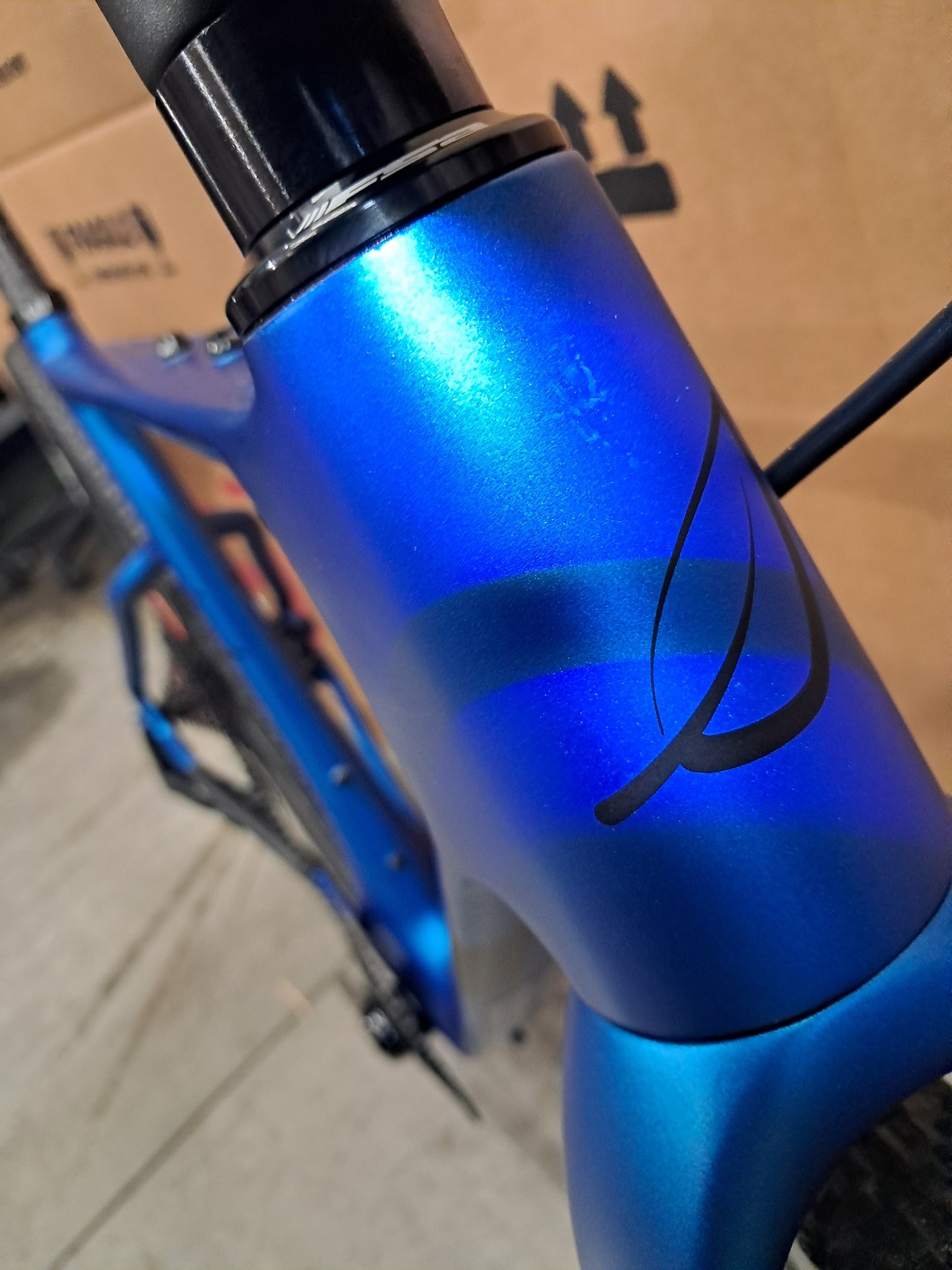 Seigla Rigid - Race Transmission - (Small) Silfra Blue - Satin