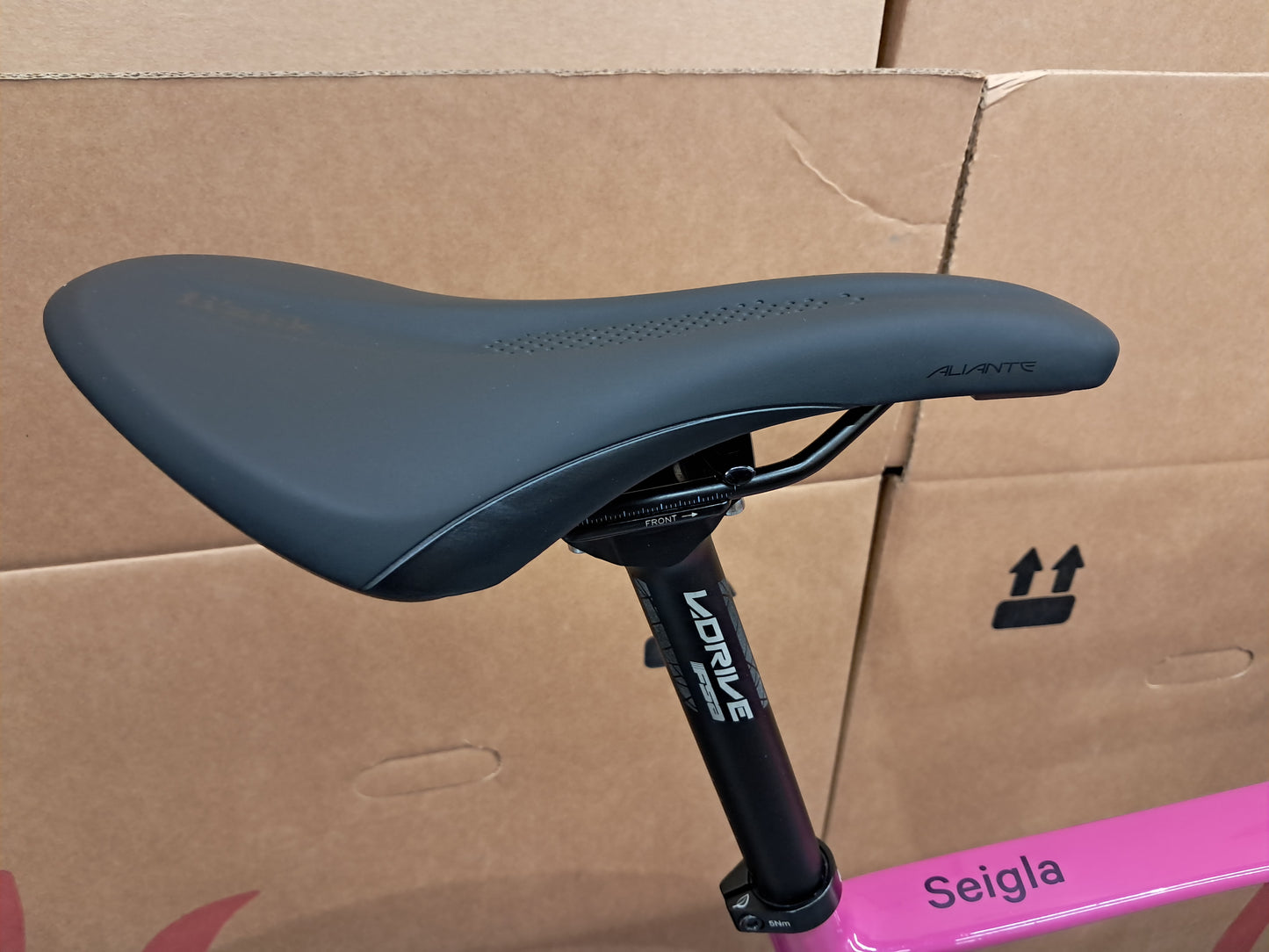 Seigla - Core Wireless - (Medium) Moss Campion - Glossy