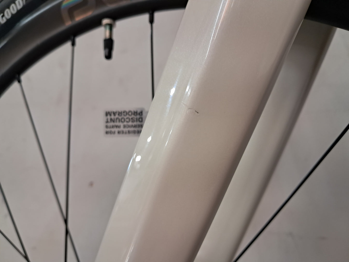 Seigla Rigid - Ultimate - (Large) Glacial White - Glossy