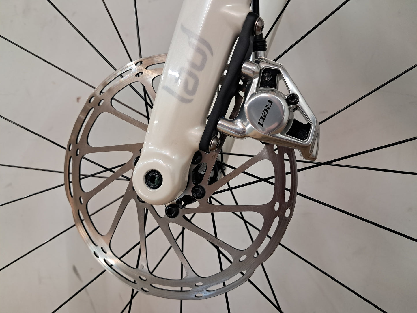 Seigla Rigid - Ultimate - (Large) Glacial White - Glossy