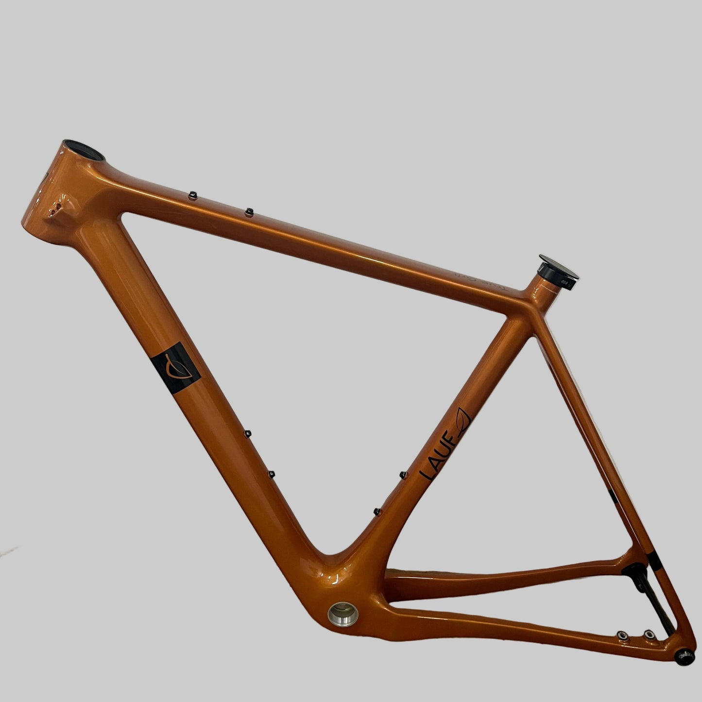 True Grit - Frameset - Curry Orange - Glossy (Small)